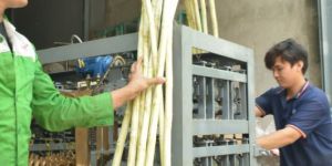 Sugarcane Peeler Machine