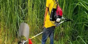 Grass Cutting Machine