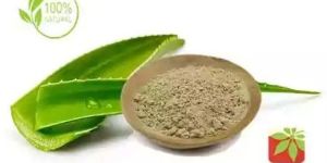 Aloe Leaf Powder