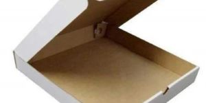 Single Phase 2 Ply 10X10X1.5 Inch White Pizza Box