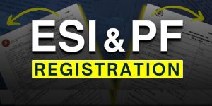 Esic Epfo Registration Consultant IN Chandausi