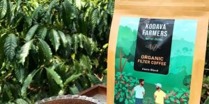 Filter Coffee Powder