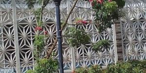 Cast Iron Lamp Posts