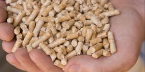 Firewood Biomass Pellets