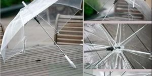 3 Fold Transparent Umbrella