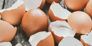 Brown Eggshell Chips