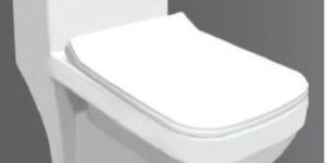 Floor Mounted One Piece Closet