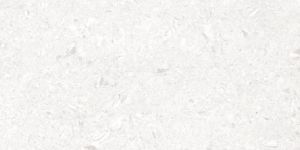 Tropicana White Double Charge Vitrified Tiles