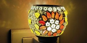 Electric Kapoor Dani