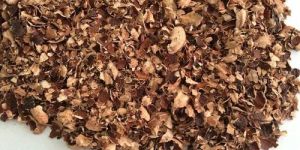 Cashew Nut Husk