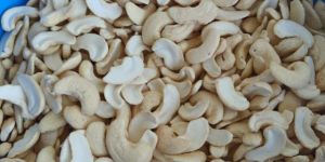SH Split Cashew Nuts
