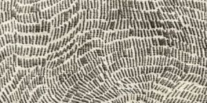 Handmade Woolen Carpets