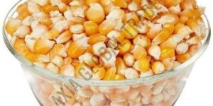 A Grade Dried Corn Seed