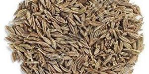 Cumin Seeds