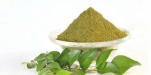 Curry Leaves Powder