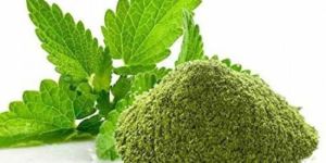 Mint Powder