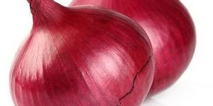 a Grade Fresh Red Onion