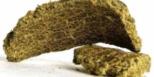 Cotton Seed Oil Cake