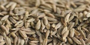 Cumin Seeds