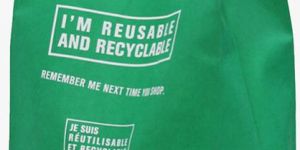 Customized Non Woven Shopping Bag