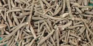 Ashwagandha Roots
