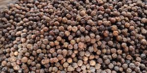 Black Pepper