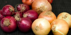 Onions
