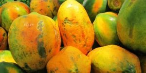 Fresh Papaya