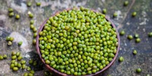 Urad Dal