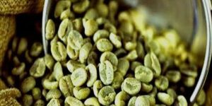 50 Kg Robusta A Grade Cherry Green Coffee Beans