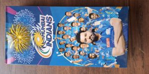 Crackling Multi Sky Shot Crackers