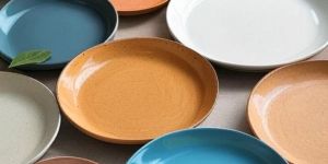 Eco Friendly Areca Leaf Plate