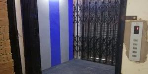 Black Iron Collapsible Elevator Door