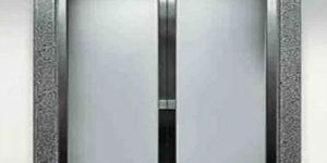 Stainless Steel Auto Door Passenger Lift
