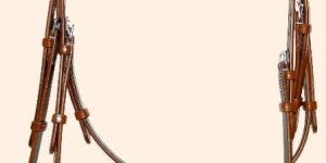 Horse Bridle