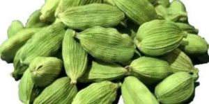 Green Cardamom