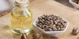Pure Castor Seed Oil