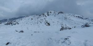 Snowline Trek