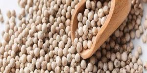 White Pepper Seeds