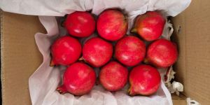 Fresh Pomegranate