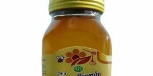 50g Shree Gramin Honey