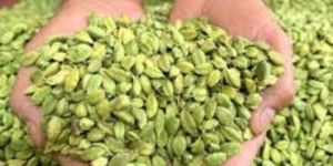 Green Cardamom