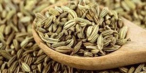Fennel Seeds