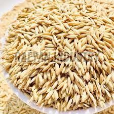 Jamuna Paddy Seeds