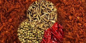 Fried Spicy Bhaja Masala