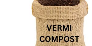 Organic Vermicompost Fertilizer