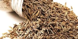 Cumin Seeds