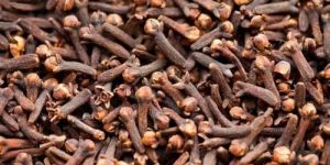 Dry Cloves