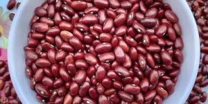 Kidney Beans