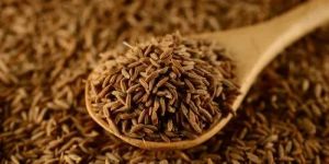 Cumin Seeds